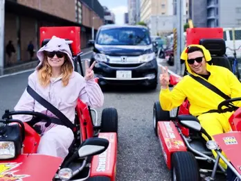 וייבים טהורים, 10/10 הייתי ממליץ!